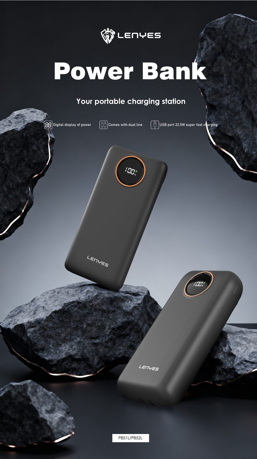 Powerbank Lenyes P851L 10.000mAh vista 3
