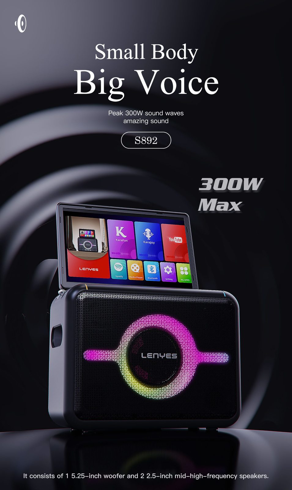 Lenyes S892 Altavoz Profesional IPX6 + 2 Micrófonos vista 6